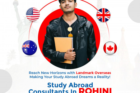 Study abroad consultants in Rohini Infographic
