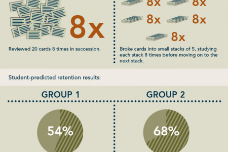 Studying How To Study Infographic