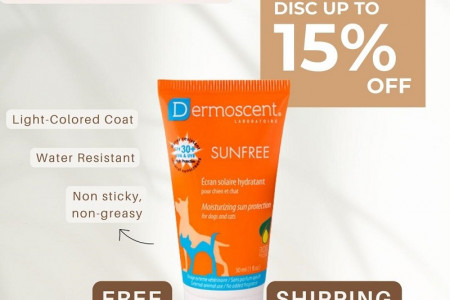 Summer Care: Dermoscent SunFREE SPF30+ for Dogs & Cats Sunscreen! Infographic