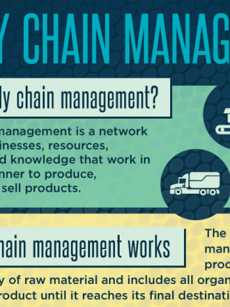 Supply chain management Infographic