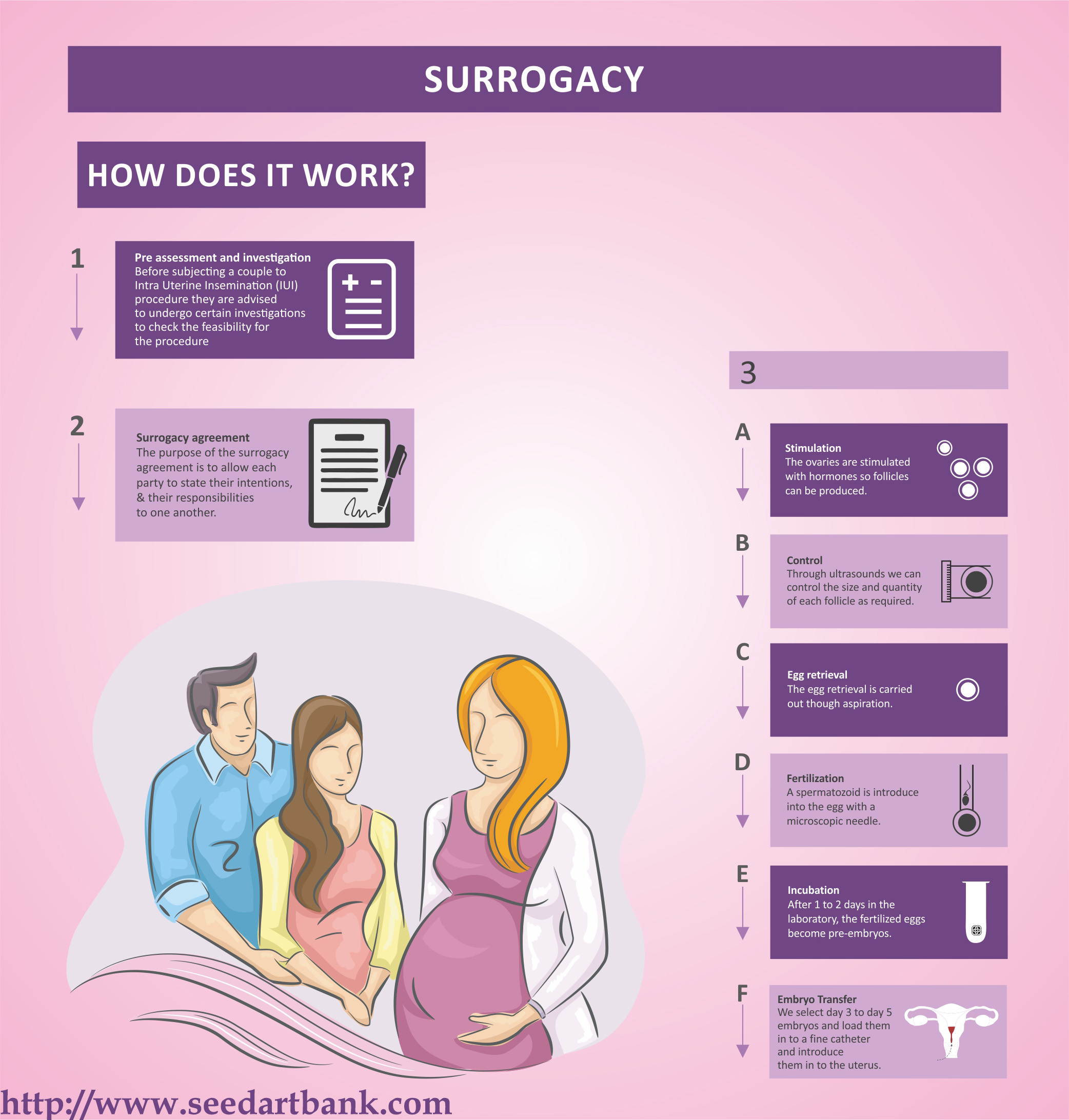 essay on surrogacy in india