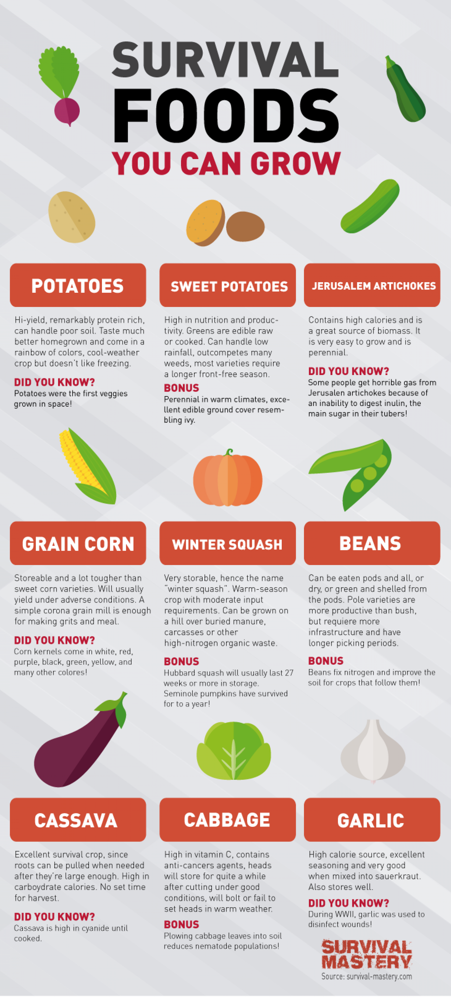 Survival Food for Growing Infographic Infographic