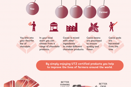Sustainable Cocoa. Your Feel Good Moment.. Infographic