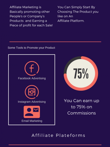 Take Your first Big step Into Becoming A successful Digital Marketer And Design The lifestyle you Deserve ! Infographic