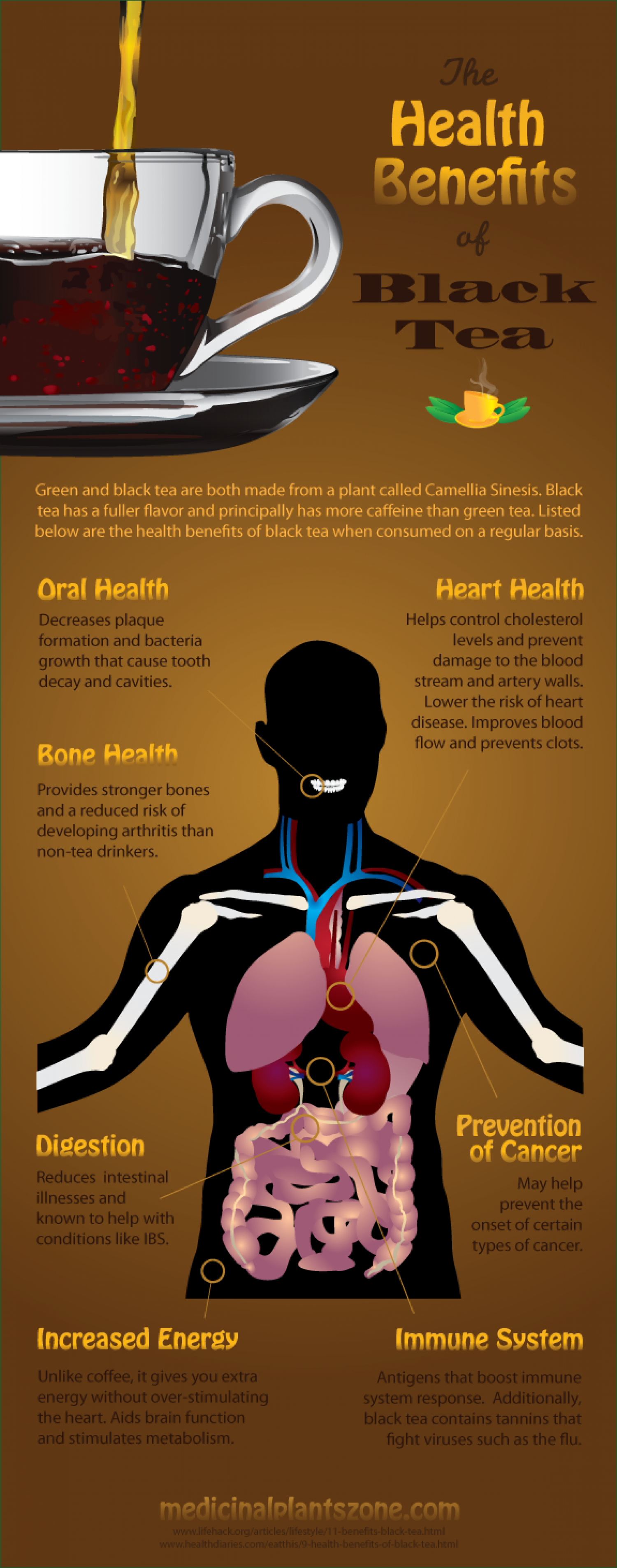 Tea Has Some Health Benefits Infographic