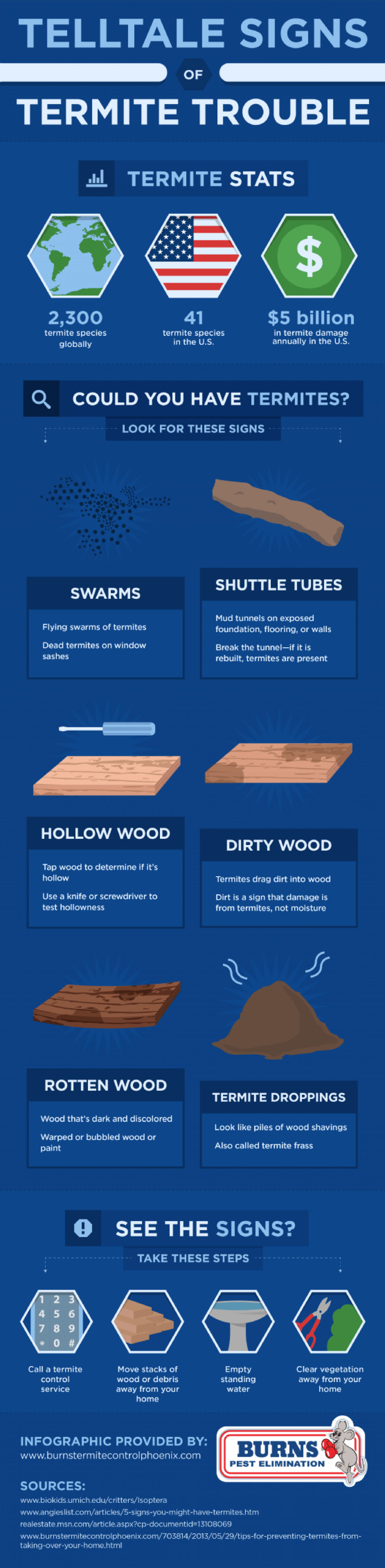 Telltale Signs of Termite Trouble Infographic