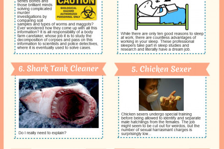 Ten of the World's Strangest Jobs Infographic