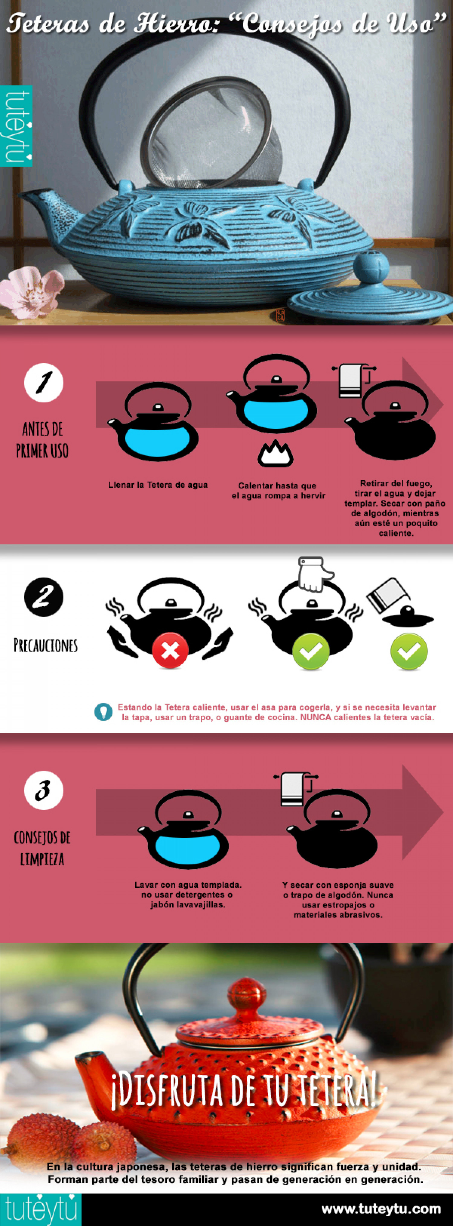 Teteras de Hierro: Consejos de Uso Infographic