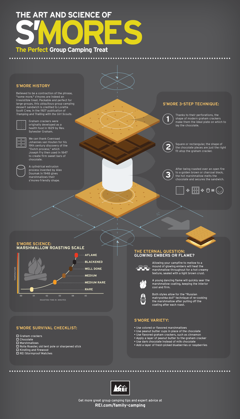 The Art & Science of Smores Infographic