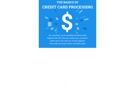 The Basics of Credit Card Processing Infographic