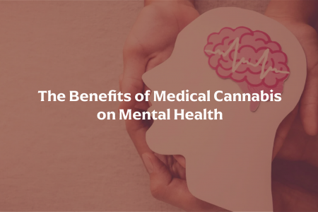 The Benefits of Medical Cannabis on Mental Health Infographic