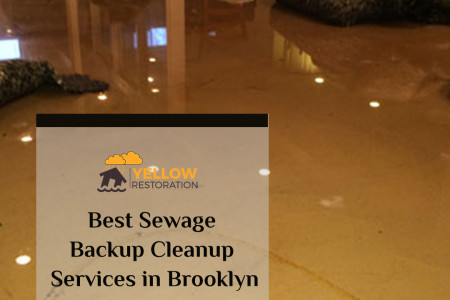 The Best Sewage Backup Cleanup Services in Brooklyn Infographic