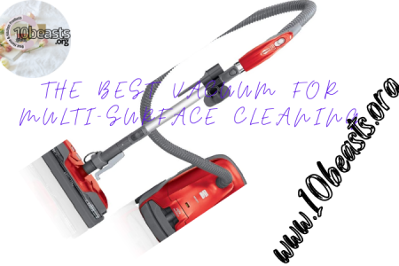 THE BEST VACUUM FOR MULTI-SURFACE CLEANING Infographic