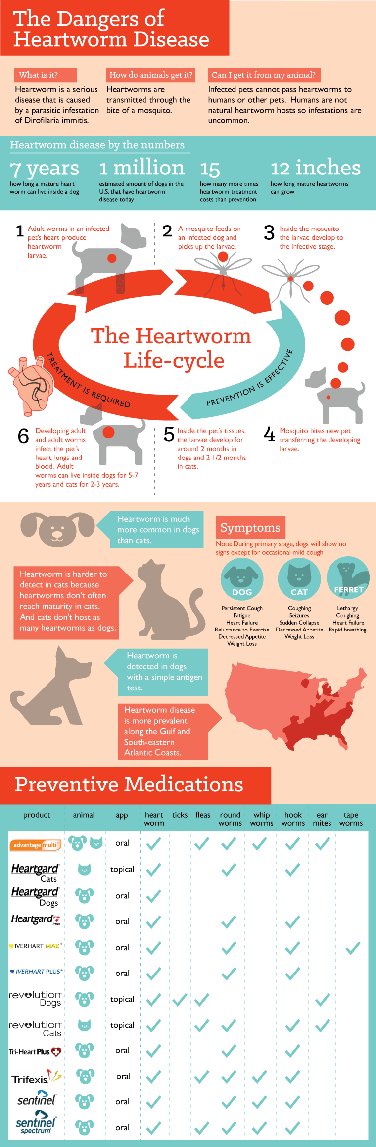 The Dangers of Heartworm Disease Infographic