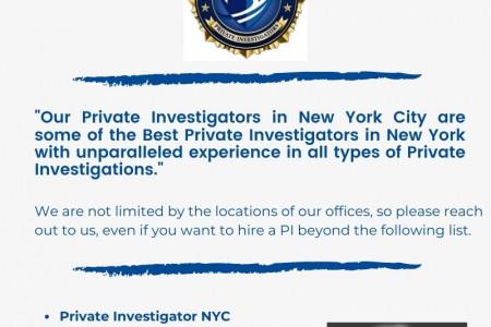 The detective and private investigator in Long Island NY Infographic