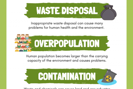 The Environmental Problems Infographic