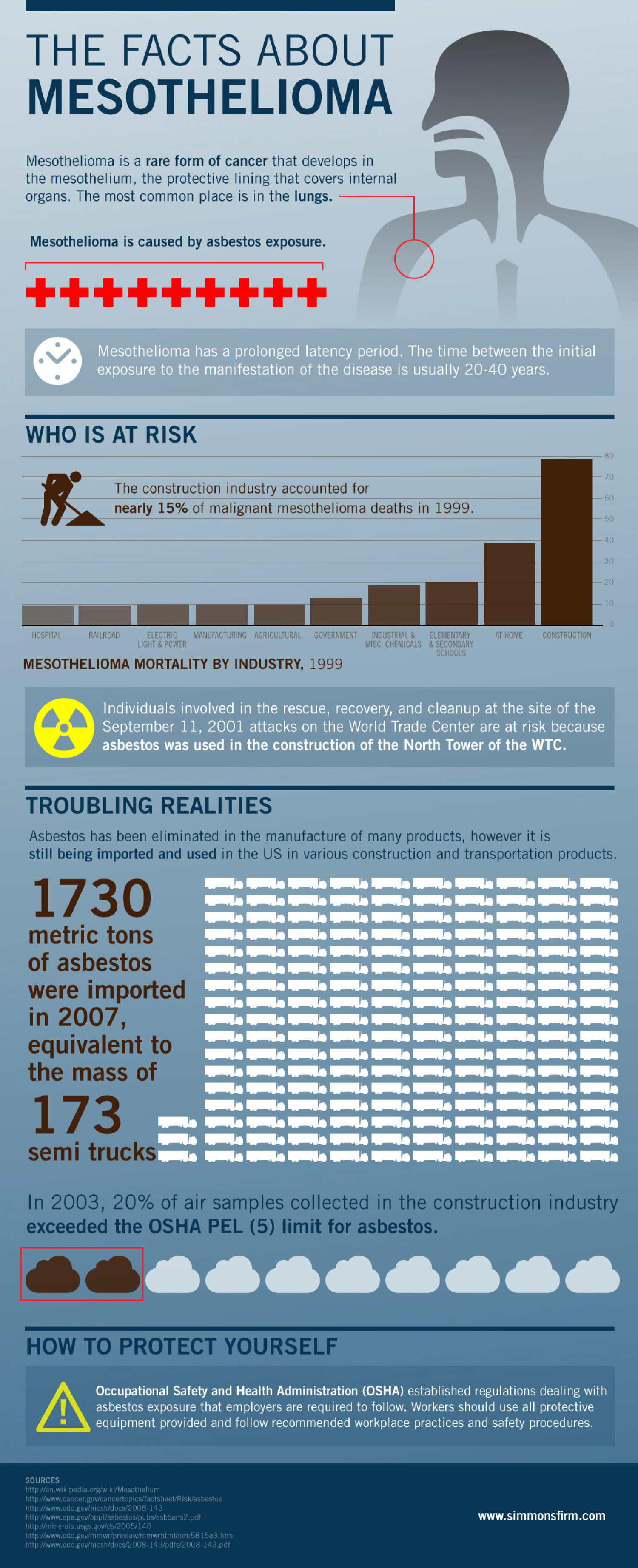 The Facts About Mesothelioma Infographic