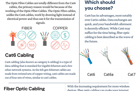 The Fibre Choice : Cat 6 vs Optical Fibre Infographic