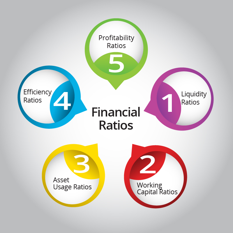 the-financial-ratios-visual-ly