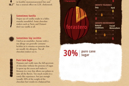 The Fine Chocolate Experience Infographic Infographic