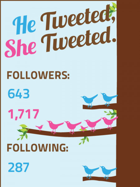 The Gender Differences On Twitter In Data Infographic