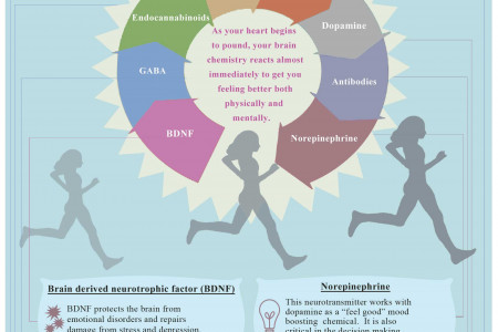 The Happiness Effect: How Exercise Makes You Happy Infographic