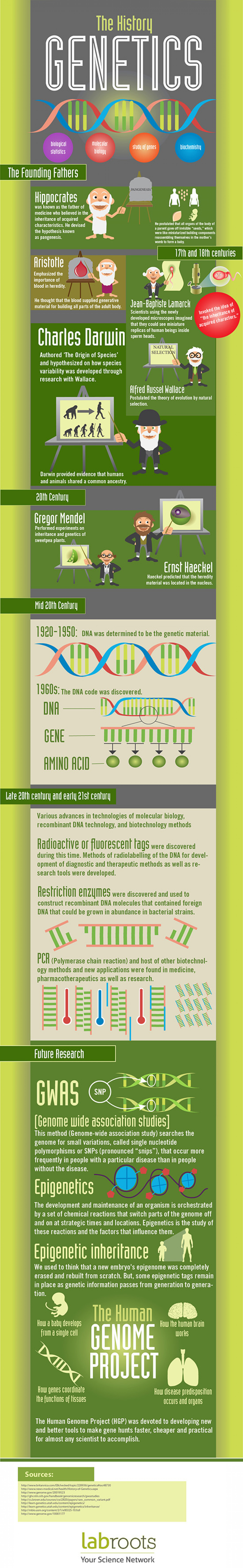 The History of Genetics Infographic