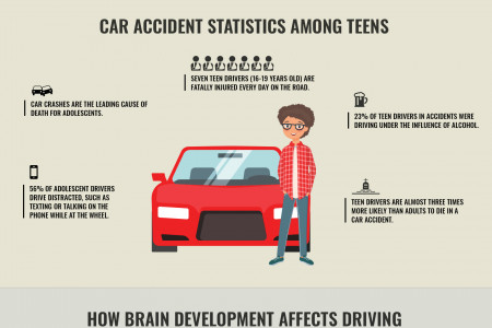 The Impact of Brain Development in Teen Driving Infographic
