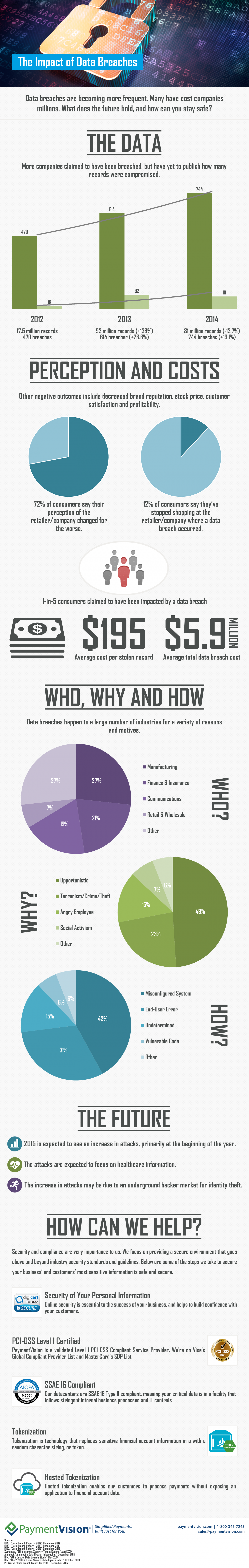 The Impact of Data Breaches Infographic | PaymentVision Infographic