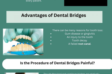 The Importance Of Dental Bridges: Why You Need One? Infographic