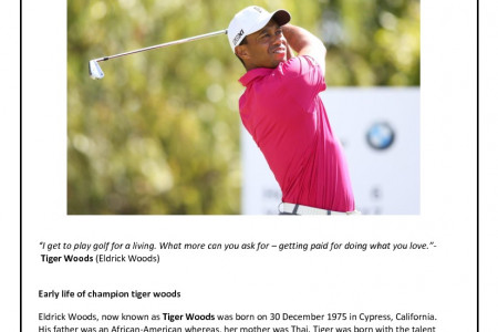 The Life and Times of Tiger Woods Infographic