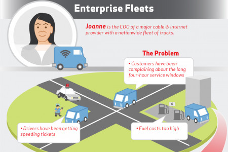 The Many Faces of Fleet Management  Infographic