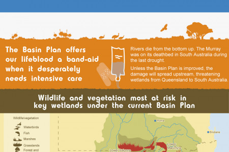 The Murray-Darling Basin Infographic