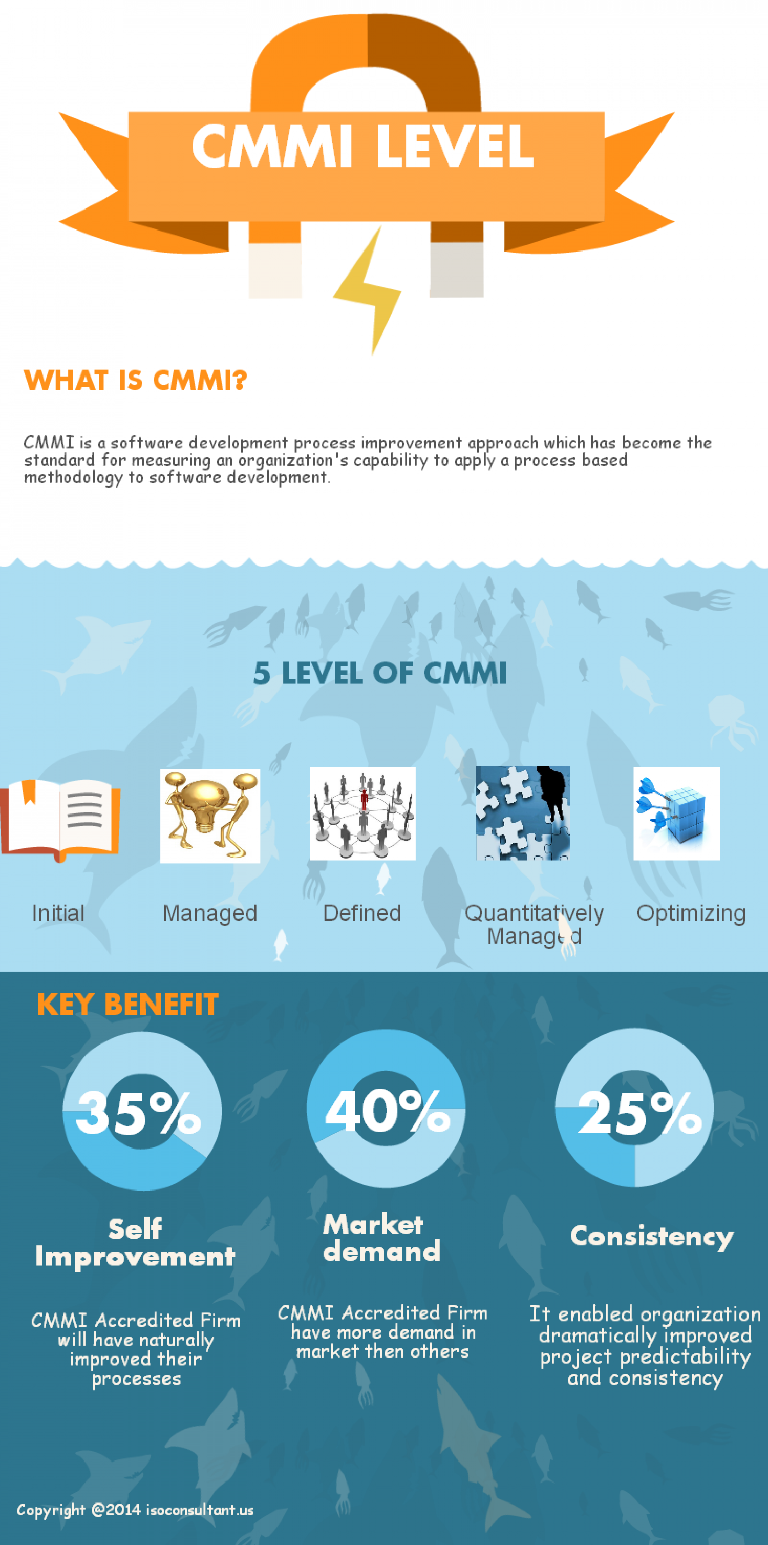 The Overview of CMMI Level Infographic