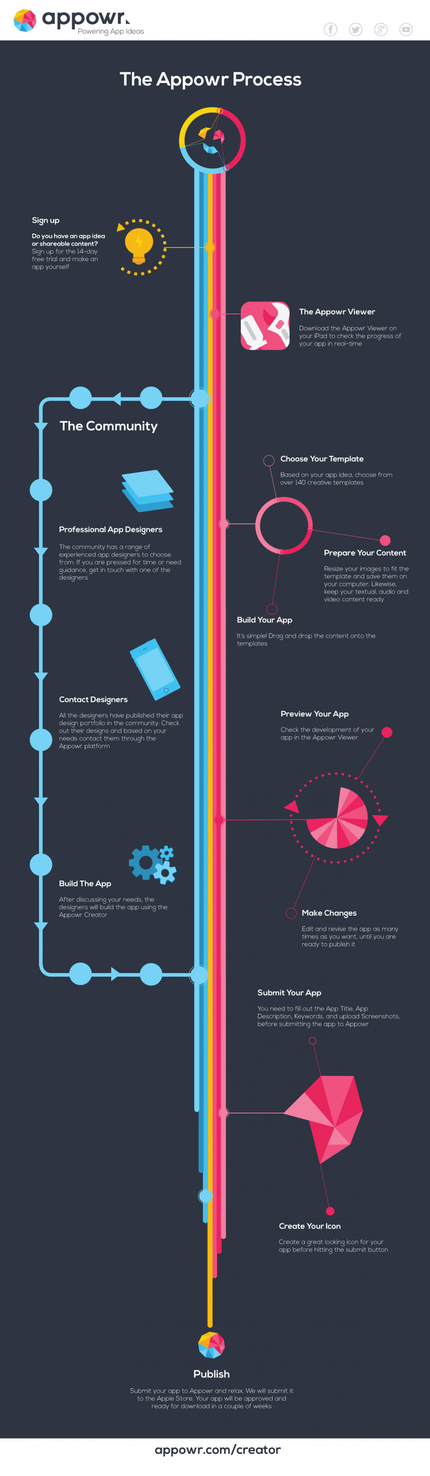 The Process Infographic