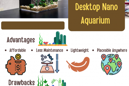 The Pros and Cons of Having Desktop Nano Aquarium Infographic