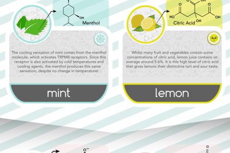 The Science Behind Food Sensations Infographic