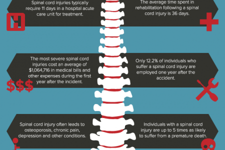 The Shocking Statistics Behind Spinal Cord Injuries Infographic