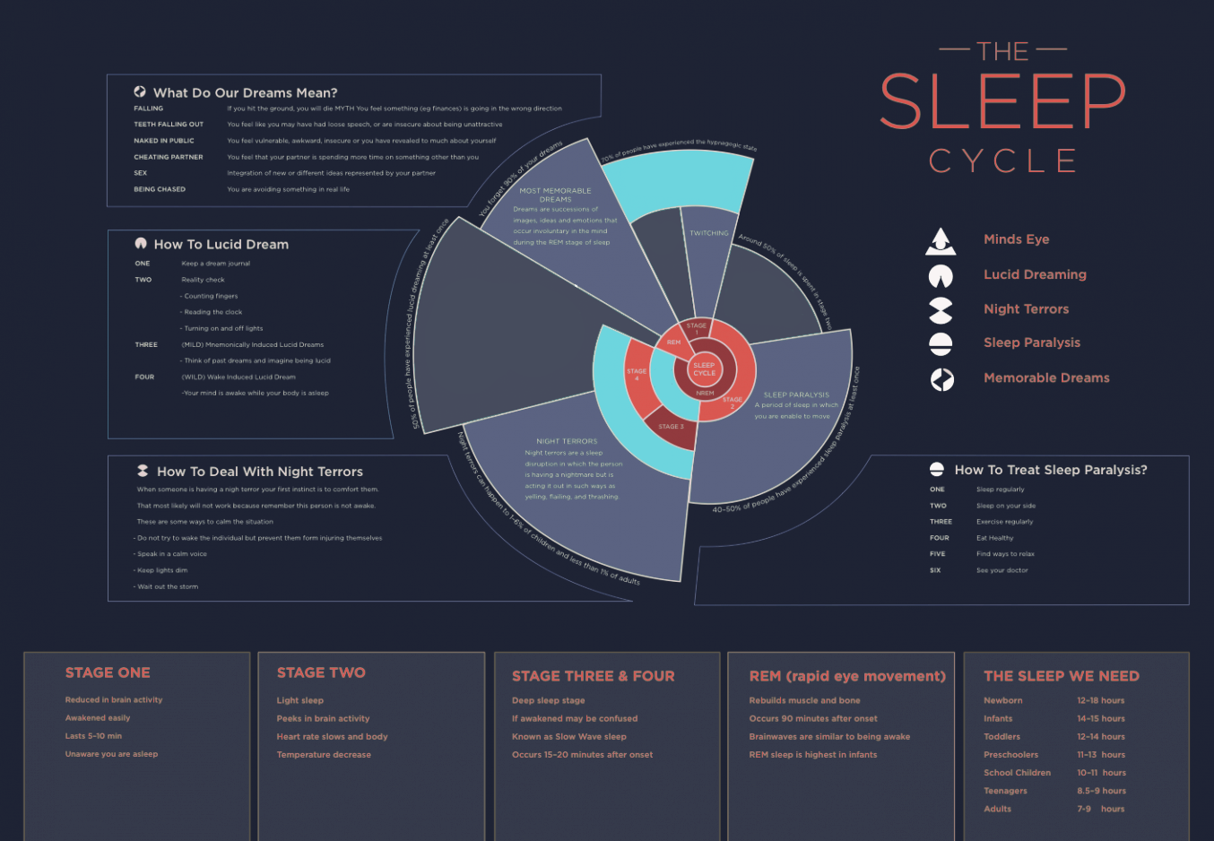 The Sleep Cycle Visually