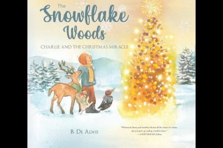 The Snowflake Woods - Charlie and the Christmas Miracle Infographic