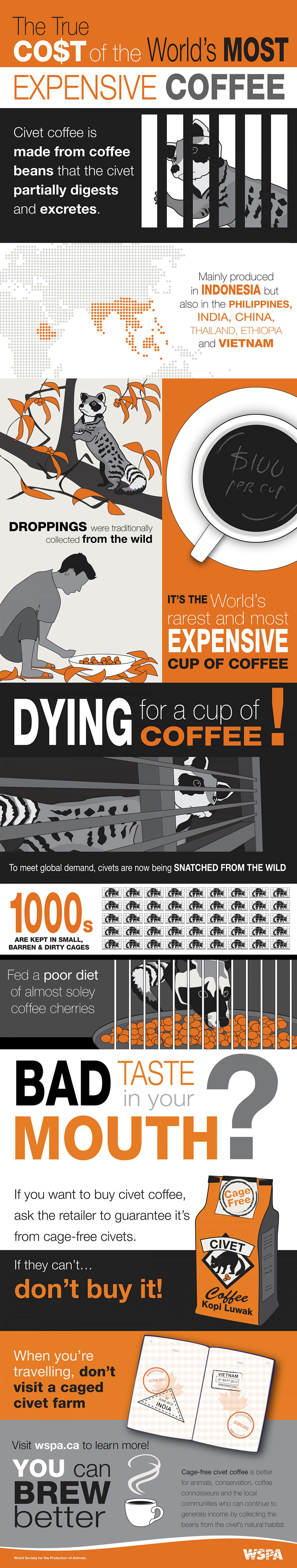 The true cost of the world's most expensive coffee Infographic