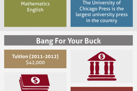 The University of Chicago Infographic Infographic