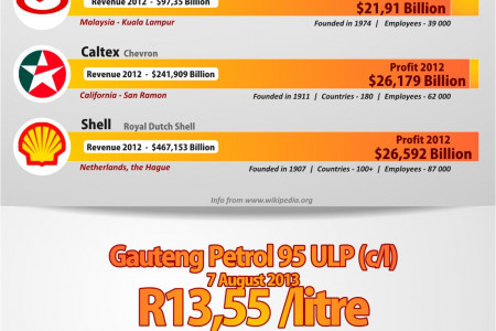 The “Unleaded” Truth About South Africa’s Fuel Companies Infographic