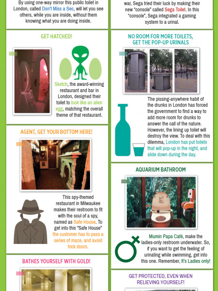 The Weirdest Toilets Around the World Infographic