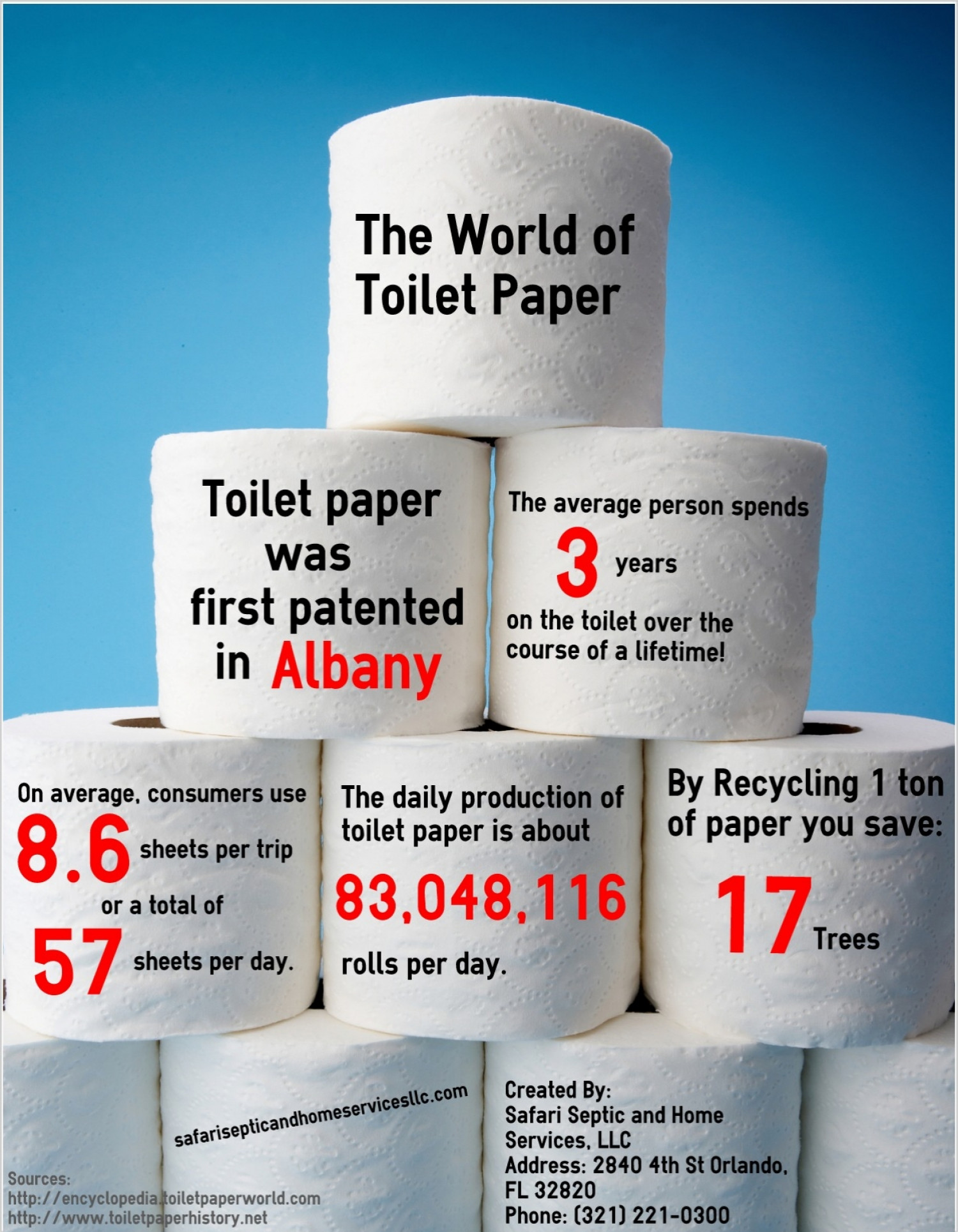 The World of Toilet Paper Infographic