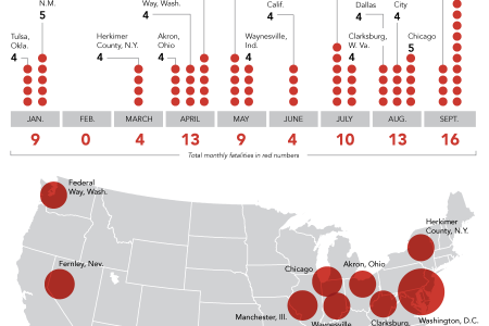 The Year In Mass Shootings Infographic