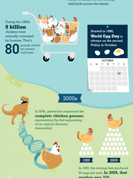 There Are More Chickens Than People in the World Infographic