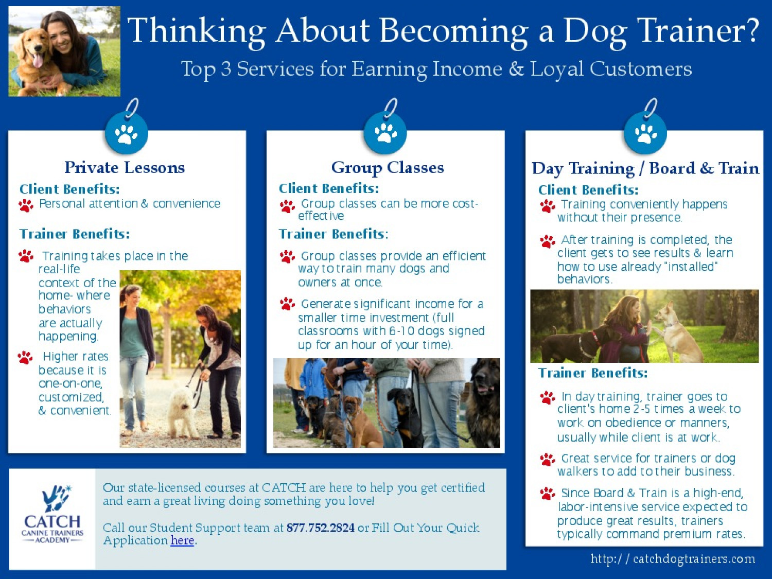 Thinking of Becoming a Dog Trainer? Infographic