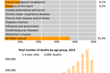 This Is How Americans Died in 2013 Infographic