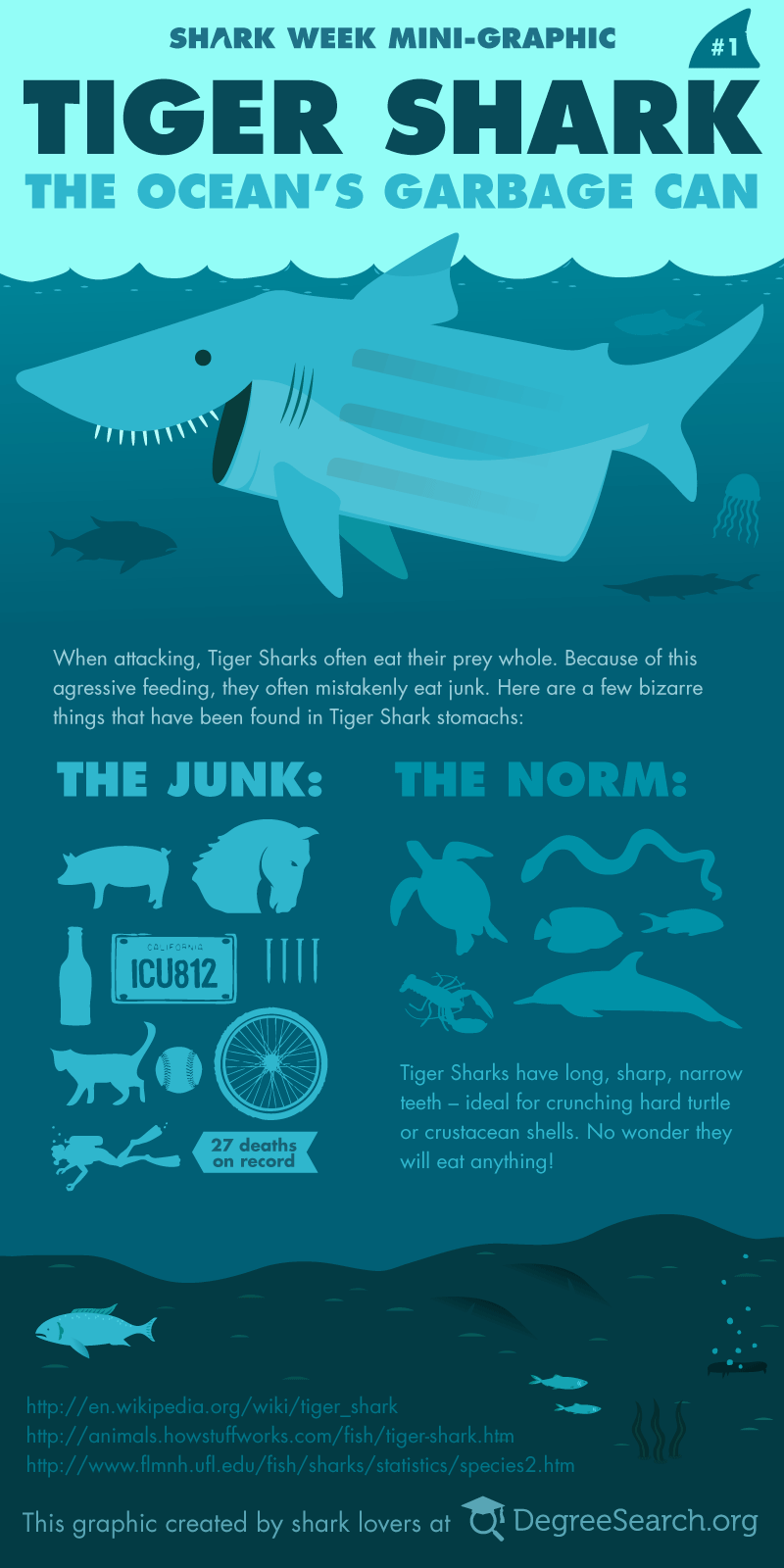 Tiger Shark - The Ocean's Garbage Can Infographic